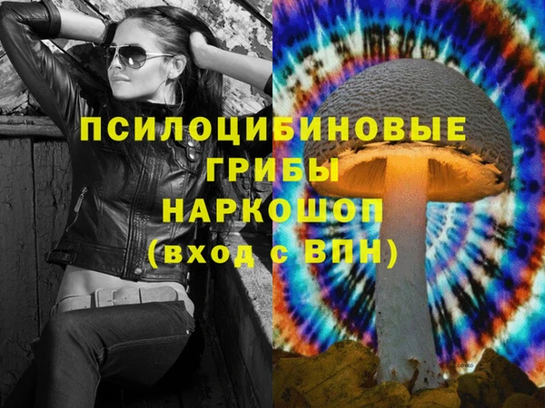 ГАЛЛЮЦИНОГЕННЫЕ ГРИБЫ Карталы