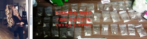 ECSTASY Карпинск