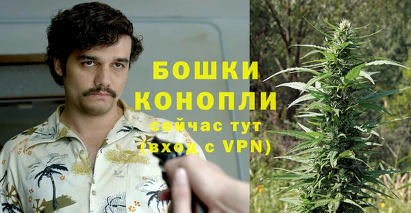 ГАЛЛЮЦИНОГЕННЫЕ ГРИБЫ Карталы