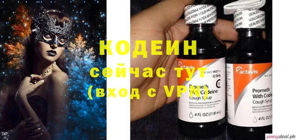 ГАЛЛЮЦИНОГЕННЫЕ ГРИБЫ Карталы
