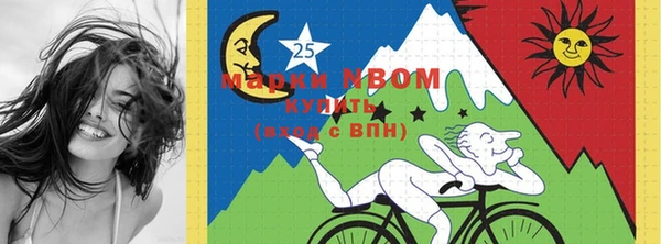 ГАЛЛЮЦИНОГЕННЫЕ ГРИБЫ Карталы